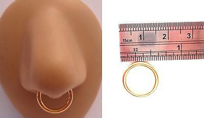 Gold Titanium Segment Hoop Septum Ring 12 gauge 12g 1 2 inch diameter