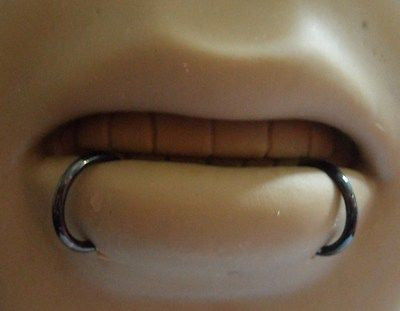 Black Titanium Segment Snake Bites Piercings Hoops Bottom Lip 16