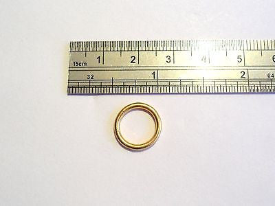 New Gold SEGMENT Seamless Hoop Ring 14 gauge 14g 10mm - I Love My Piercings!