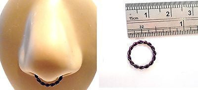 Coiled Enamel Non Tarnish Septum Hoop Ring 14 gauge 14g Purple 10mm Diameter - I Love My Piercings!