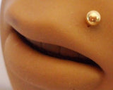 GOLD TITANIUM Ball Monroe Marilyn Madonna Lip Ring Stud Post 16 gauge 16g - I Love My Piercings!