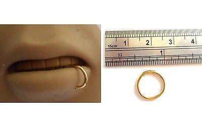 GOLD TITANIUM Bottom Lip Hoop Segment Ring 16 gauge 16g 8mm Diameter - I Love My Piercings!