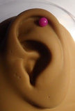 7 Piece Cartilage Helix Tragus Ear Studs Posts Barbells Balls 16 gauge 16g - I Love My Piercings!