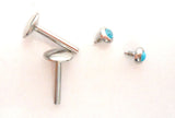 Turquoise Stone Surgical Steel Studs 16g 8 mm long - I Love My Piercings!