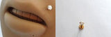 GOLD TITANIUM Clear Crystal Monroe Lip Ring Stud Post Barbell 16 gauge 16g - I Love My Piercings!