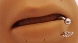 Silver Surgical Steel Spiked Bottom Side Lip Ring Half Hoop 16 gauge 16g - I Love My Piercings!
